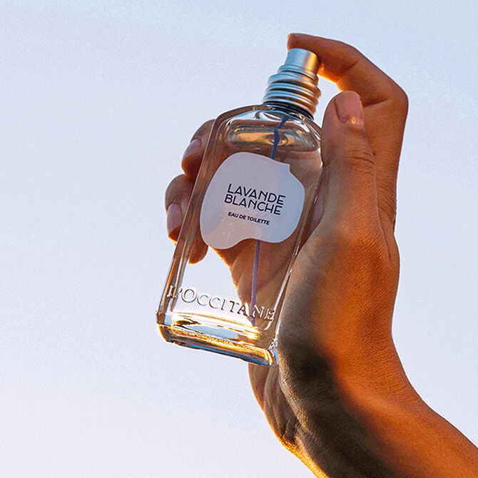 Perfume new arrivals lavanda hombre